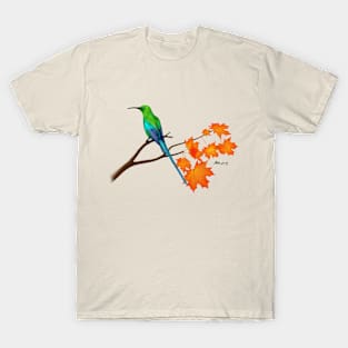 Pastel hummingbird on a maple branch in the fall T-Shirt